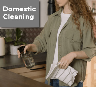 domestic-cleaning House Cleaning, London Professional cleaners, Signature cleaning Services,